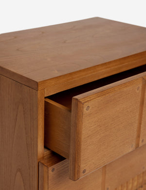 Open Box: Lee Nightstand, Russet by Sarah Sherman Samuel