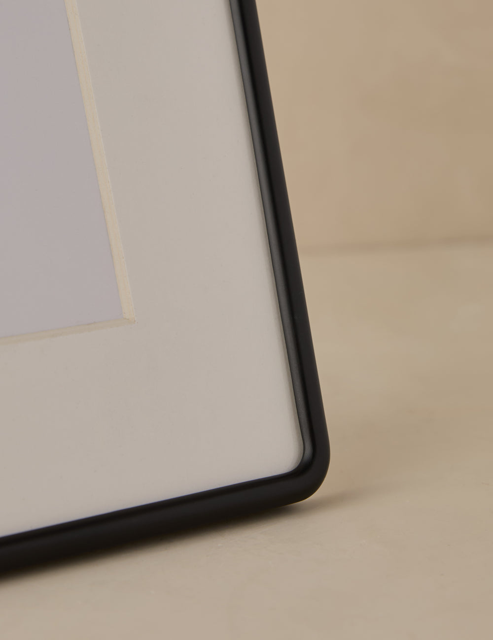 Rook Picture Frame by Sarah Sherman Samuel