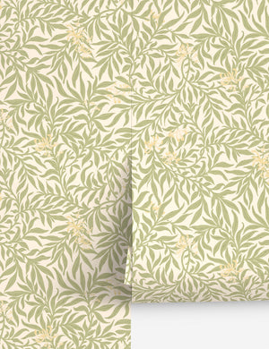 Honeysuckle Wallpaper by Scalamandre, Sage - Swatch