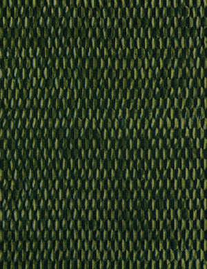 Allegra Velvet Fabric Swatch by Scalamandre, Emerald