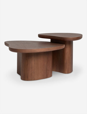 Torino sculptural dark brown nesting coffee table by Aimee Song