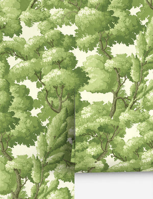 Bellona Wallpaper Mural, Green - Swatch