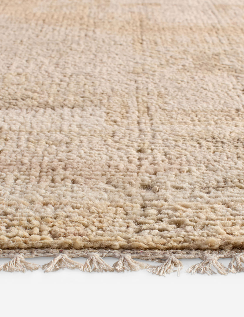 Ambretta Ambretta Hand-Knotted Wool Rug