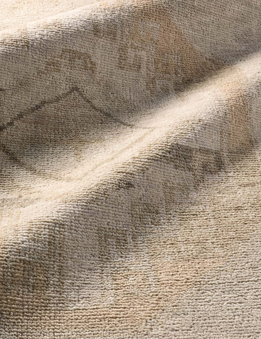 Ambretta Hand-Knotted Wool Rug