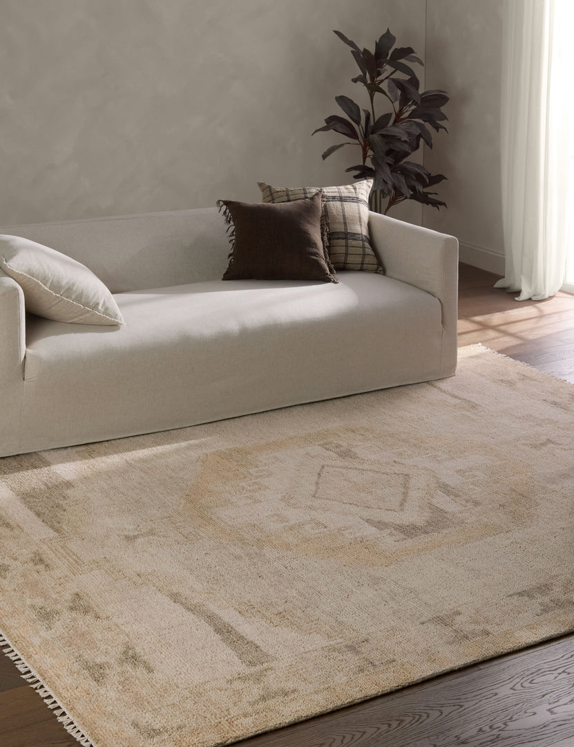 Ambretta Ambretta Hand-Knotted Wool Rug