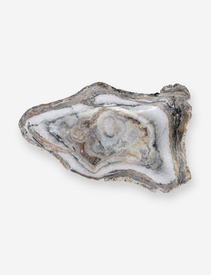 Noki Petrified Wood Bowl