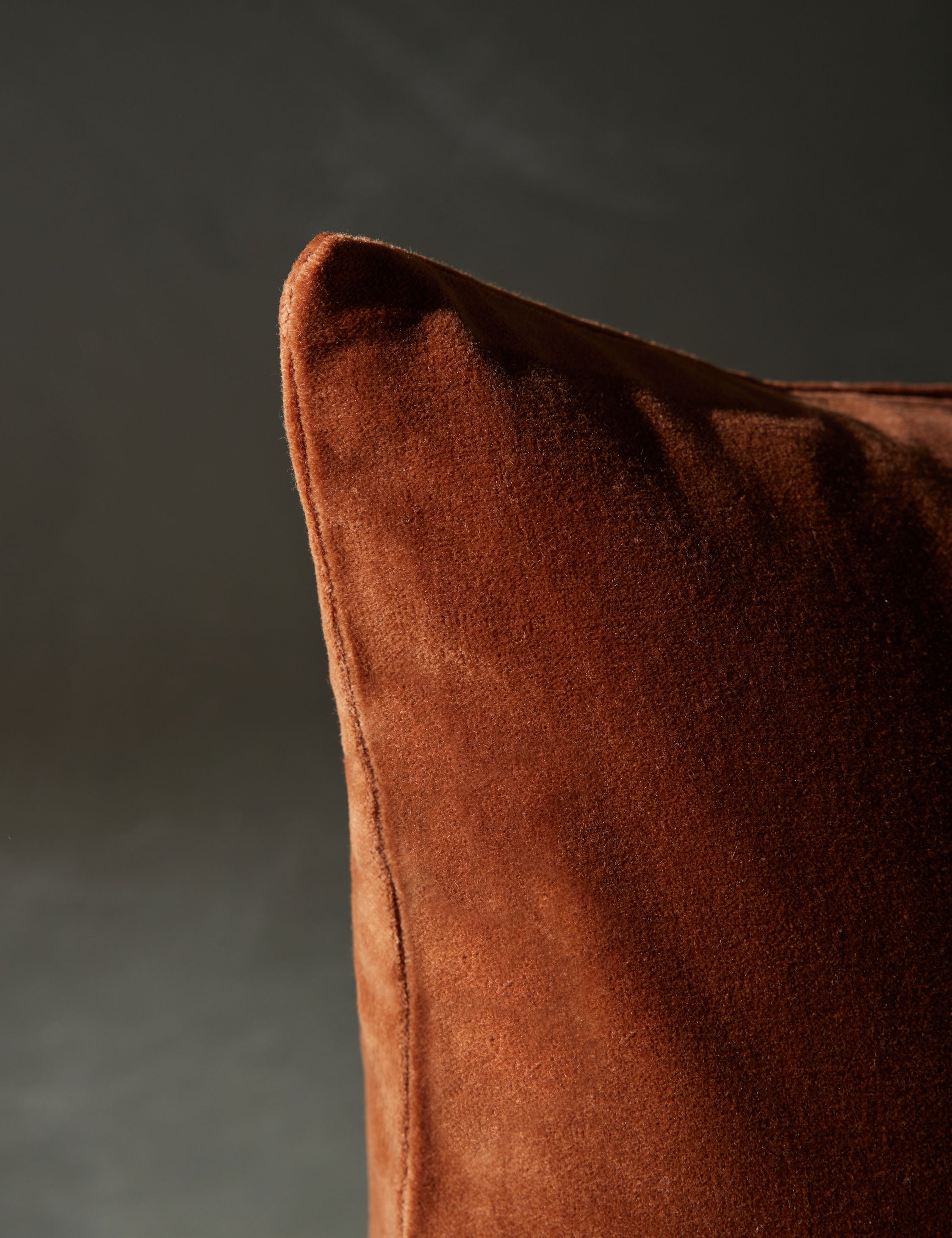 Caddie Velvet Pillow - Thumbnail 4