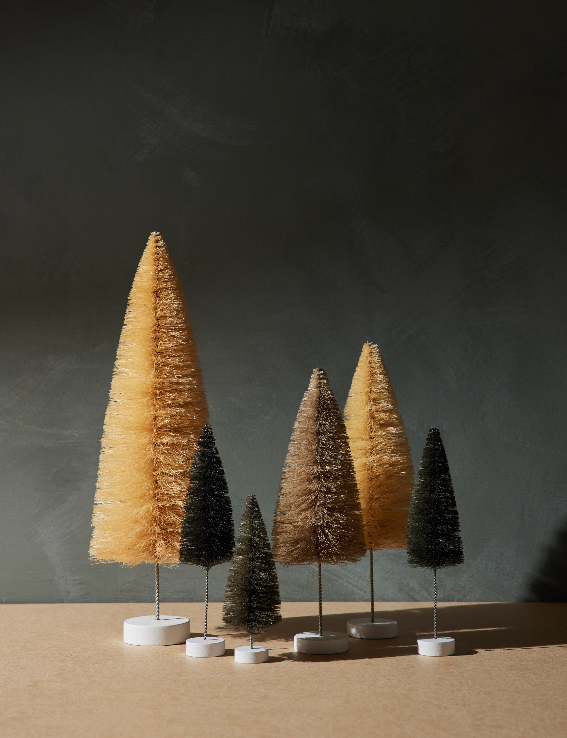 Cody Foster and Co Trees