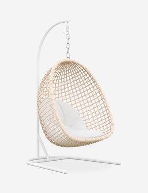 Mendoza Indoor / Outdoor Hanging Chair