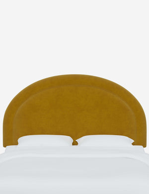 Odele Citronella Yellow Velvet arched upholstered headboard with a melted border