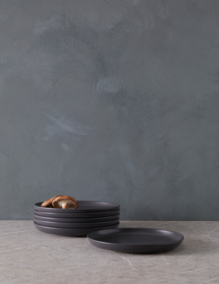 #color::gray #style::salad-plates--set-of-6