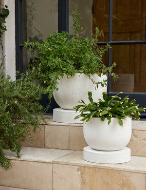 The Dreama white Indoor and Outdoor Planter in small and large sit on an outdoor ledge with plants inside of them