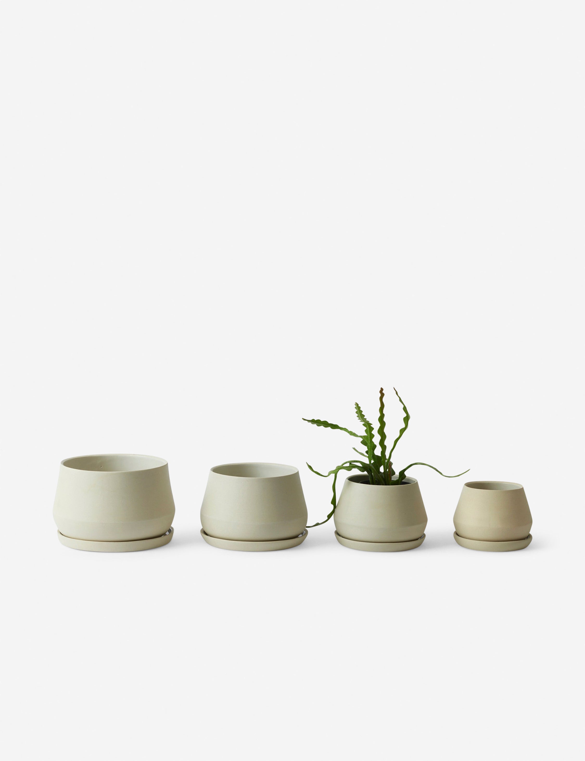 Lbe Design Rancho Ceramic Indoor / Outdoor Planter by LBE Design