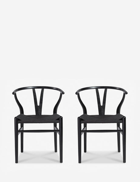 #color::black-and-black