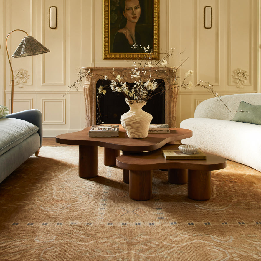 10' x 14' Size Area Rugs