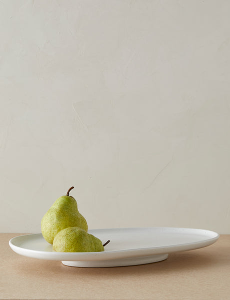 Shapeshifter Platter by Sarah Sherman Samuel