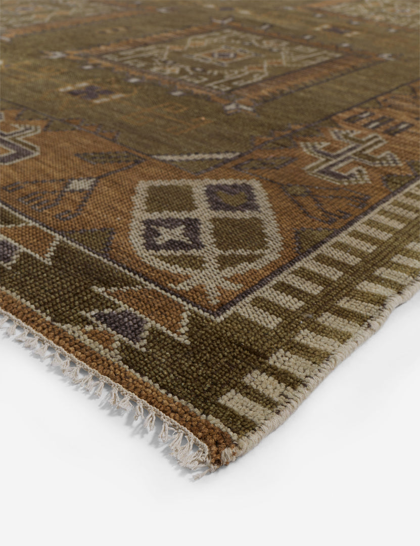 Tahj Traditional Wool Rug