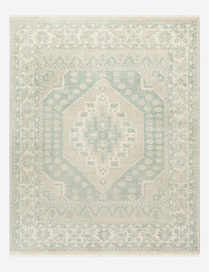 Taskin medallion design hand-knotted wool blend rug