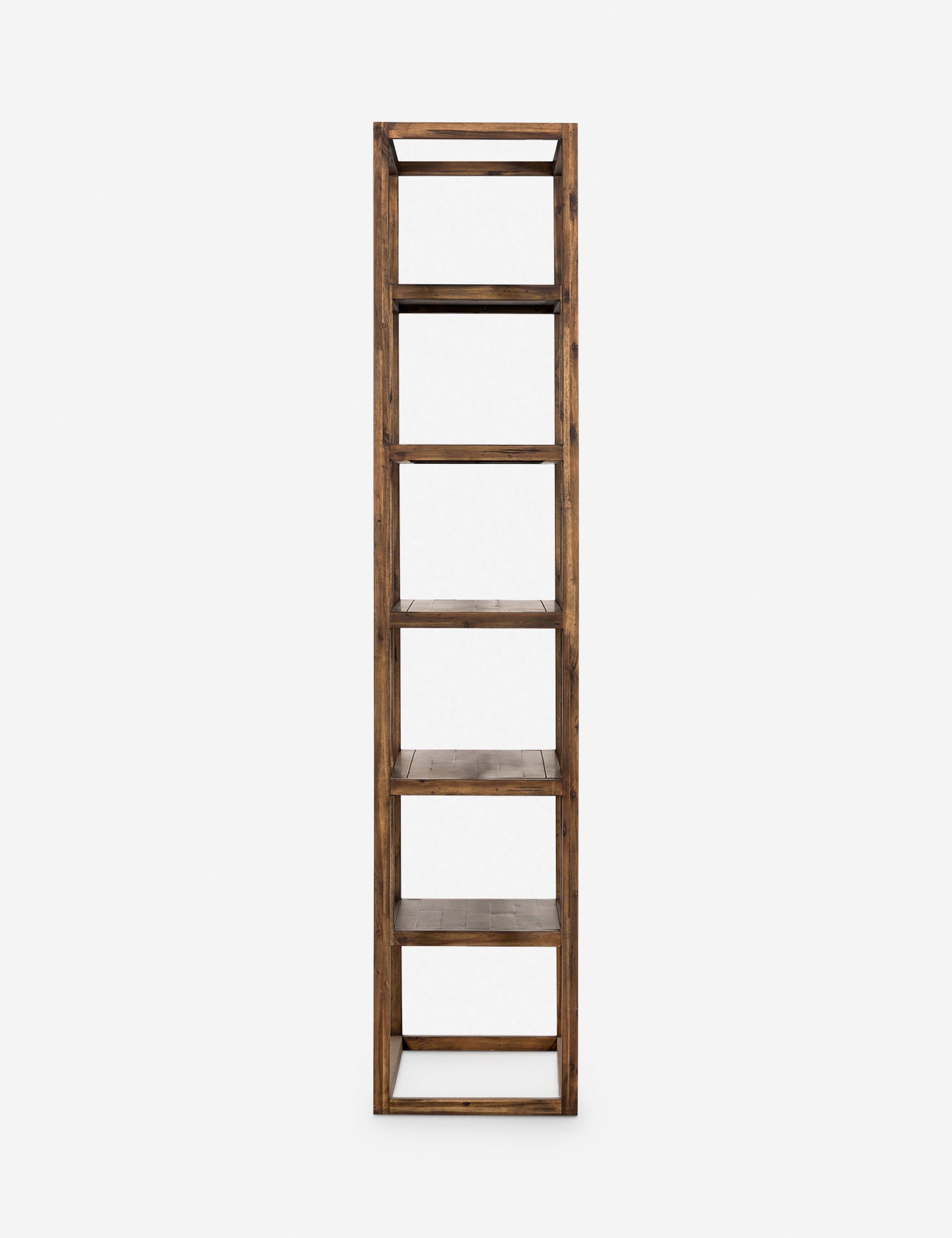 Lulu and Georgia Valda Bookcase