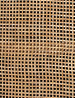 Detailed view of the woven cane on the doors of the Philene black mango wood sideboard