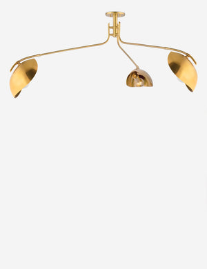 Abanu mid-century adjustable brass chandelier.