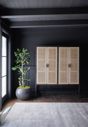 The Hannah black mango wood cabinet with cane doors sits in a dark painted room with a gray plush carpet and a gray spherical vase.