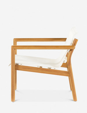 Charise Indoor / Outdoor Accent Chair