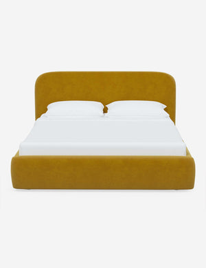 Nabiha upholstered Citronella Velvet platform bed with a rounded headboard