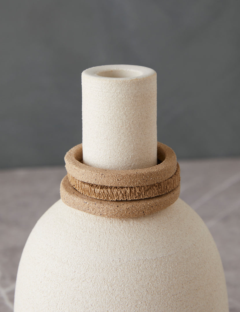 Ali Decorative Vase with Birch Ring by Style Union Home