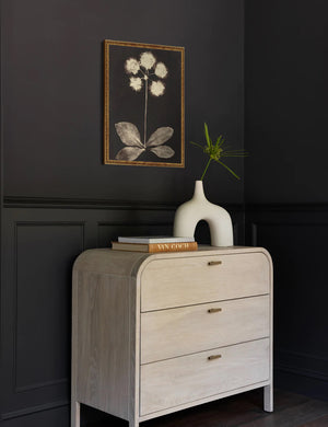 The gold framed Botanical black and beige Photogram Print is hung in a black painted room above a white wooden nightstand with a white sculptural base