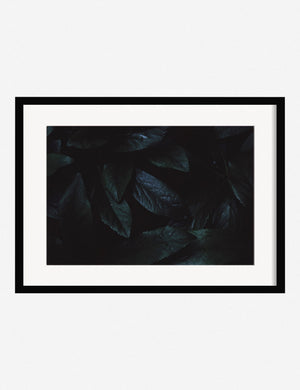 Still Life 3 Photography Print in a black frame that features plants by Ashley Johnson