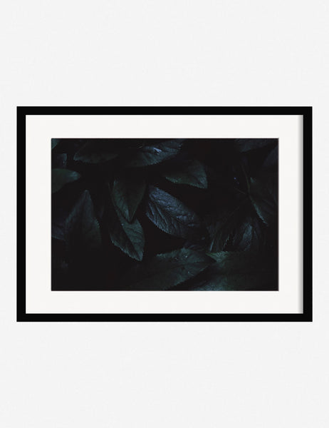 #color::black #size::13.5--x-17.5-- #size::21.5--x-29.5-- #size::25.5--x-35.5-- | Still Life 3 Photography Print in a black frame that features plants by Ashley Johnson