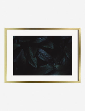 Still Life 3 Photography Print in a golden frame