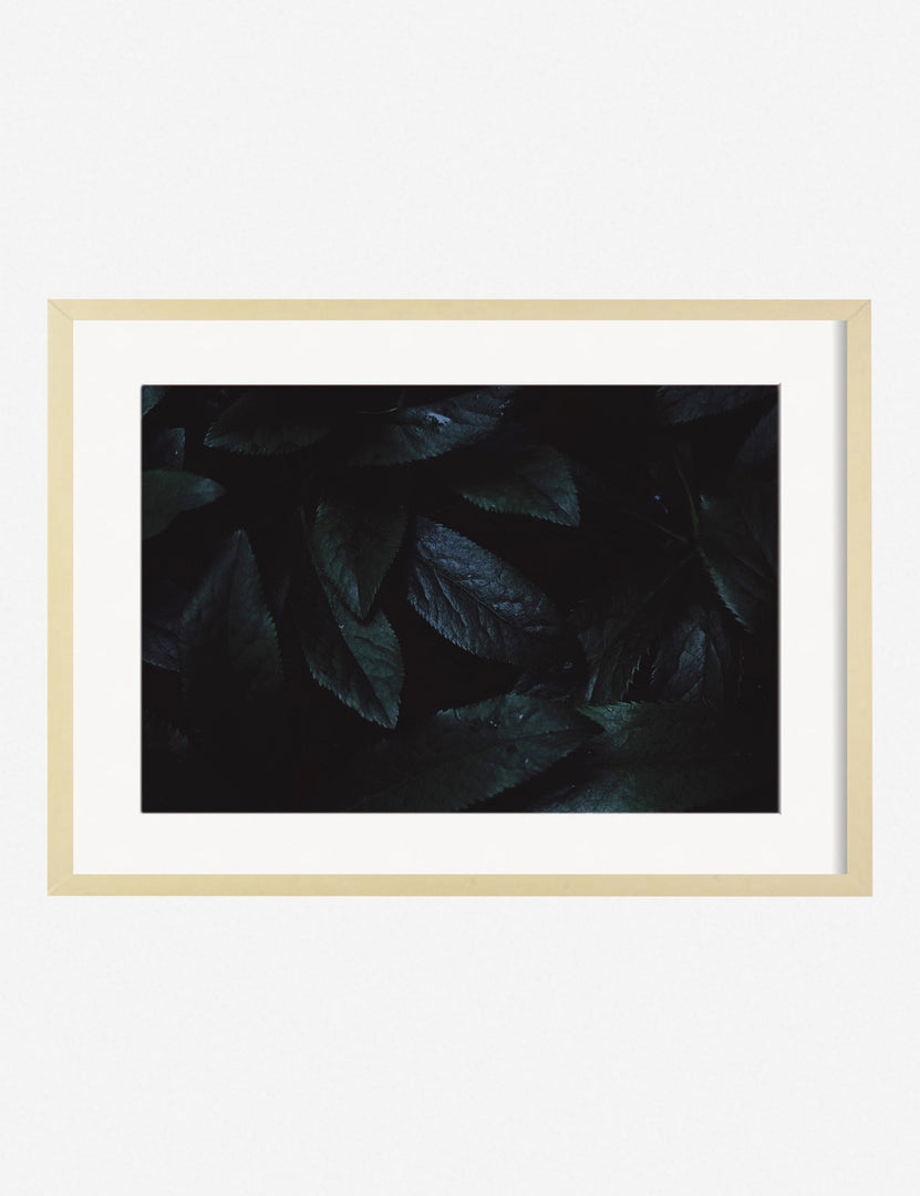 #color::natural #size::13.5--x-17.5-- #size::21.5--x-29.5-- #size::25.5--x-35.5-- | Still Life 3 Photography Print in a natural frame