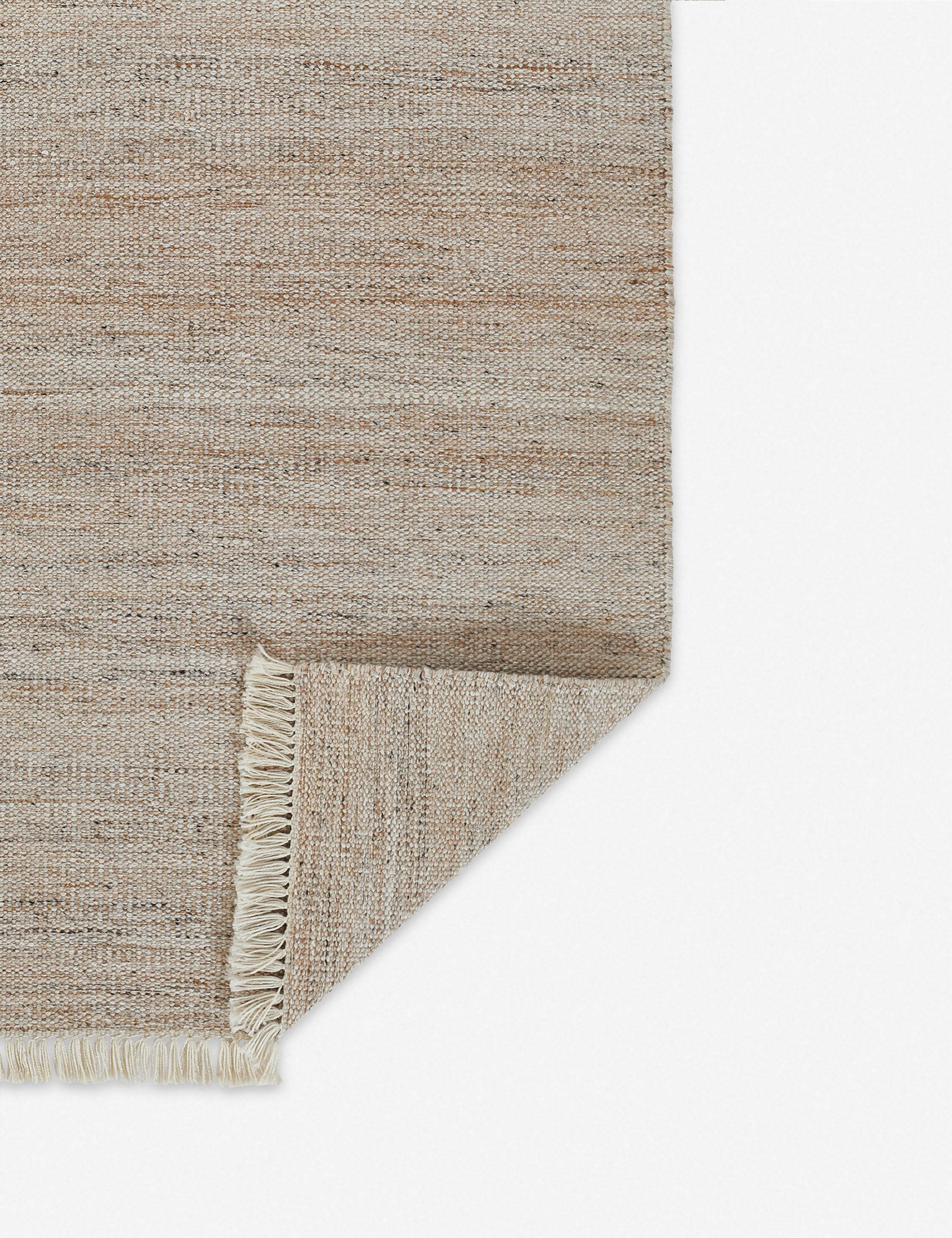 Maxi Monochromatic Fringed Indoor/Outdoor Rug