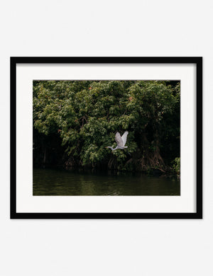 Lake Nicaragua Photography Print in a black frame that features a solitary bird in flight across a verdant backdrop by Carley Rudd