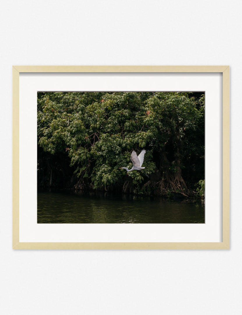 #size::8--x-10- #size::16--x-20- #size::24--x-30- #size::135--x-155- #size::215--x-255- #size::295--x-355- #frame-option::framed #color::natural | Lake Nicaragua Photography Print in a natural frame