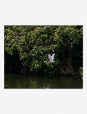 Lake Nicaragua Photography Print unframed
