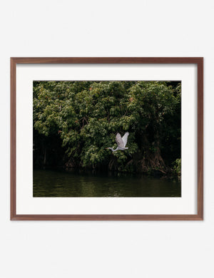 Lake Nicaragua Photography Print in a walnut frame