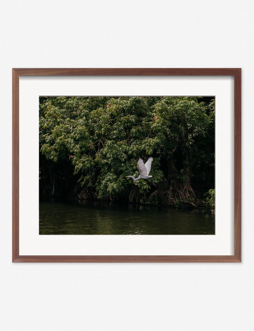 #size::8--x-10- #size::16--x-20- #size::24--x-30- #size::135--x-155- #size::215--x-255- #size::295--x-355- #frame-option::framed #color::walnut | Lake Nicaragua Photography Print in a walnut frame