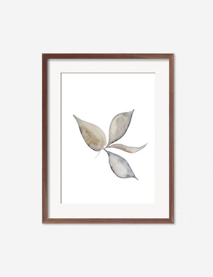 Faded Leaves Print in a walnut frame