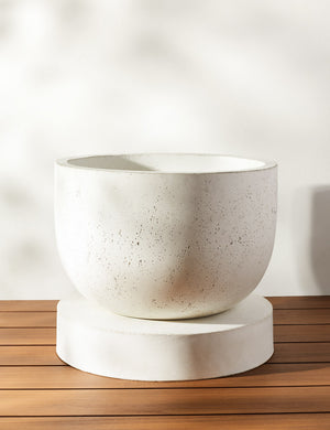 Dreama white Indoor and Outdoor Planter with a disc base