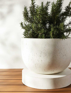 Dreama white Indoor and Outdoor Planter with a plant inside