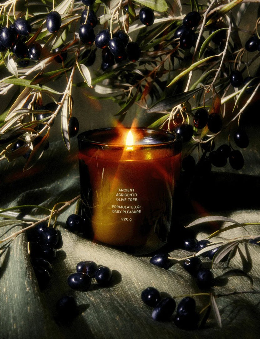 #scent::olive-tree