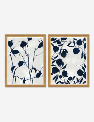 Ink on Paper Wall Art by Susan Hable (Set of 2)