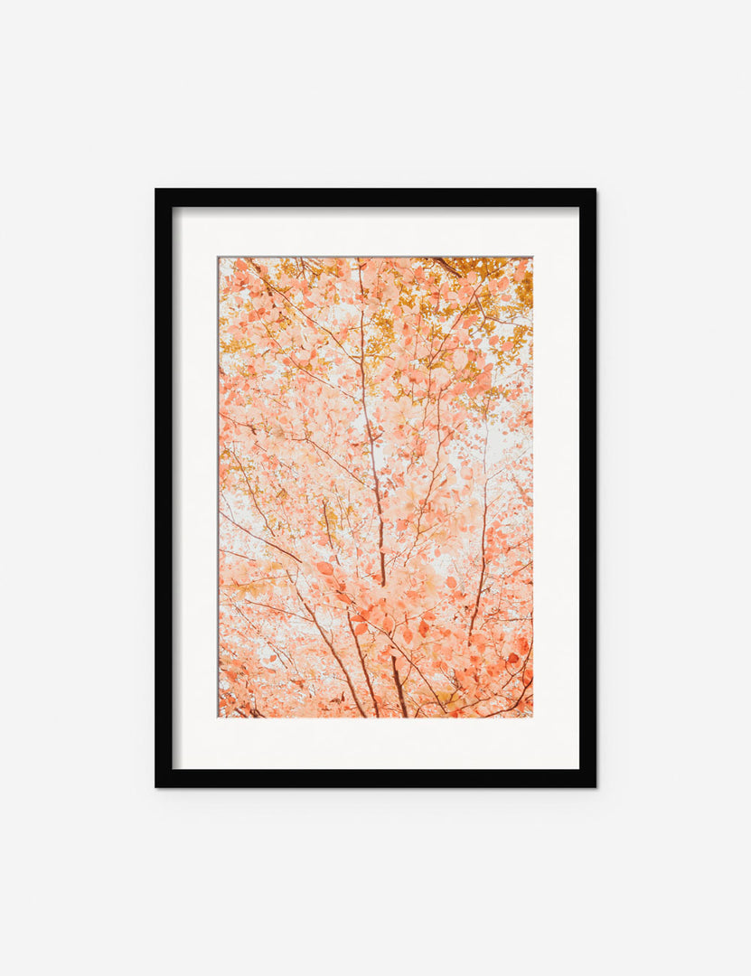 #frame-option::framed #color::black #size::135--x-175- #size::215--x-295- #size::255--x-355- | Pastel Fall Tree Photography Print in a black frame featuring a pink flower tree by Ingrid Beddoes