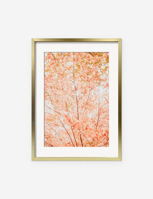 Pastel Fall Tree Photography Print in a gold frame
