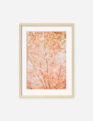 Pastel Fall Tree Photography Print in a natural frame