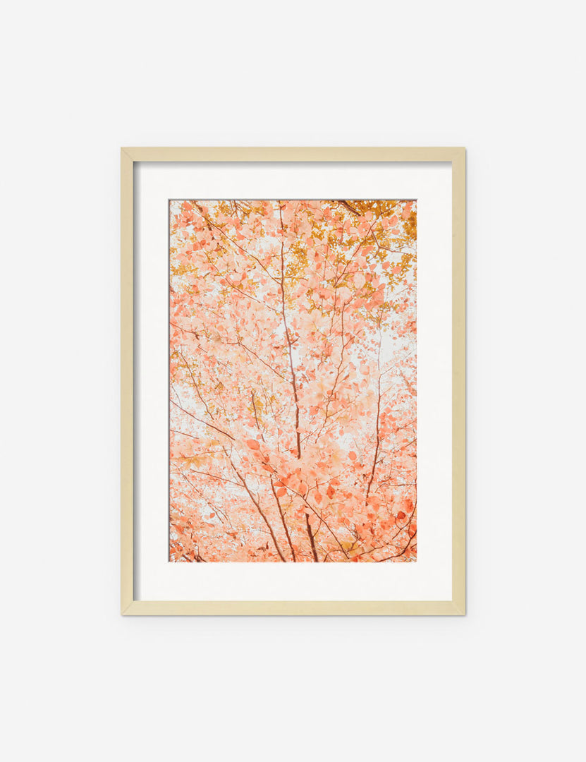 #frame-option::framed #color::natural #size::135--x-175- #size::215--x-295- #size::255--x-355- | Pastel Fall Tree Photography Print in a natural frame