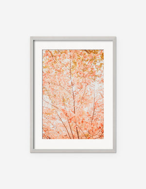 Pastel Fall Tree Photography Print in a silver frame